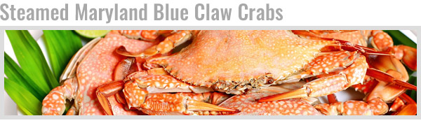 Steamed Maryland Blue Claw Crabs